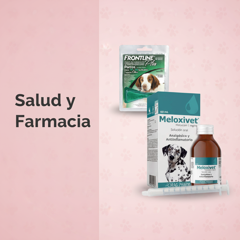Salud y Farmacia