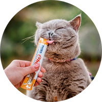 Snacks cremosos