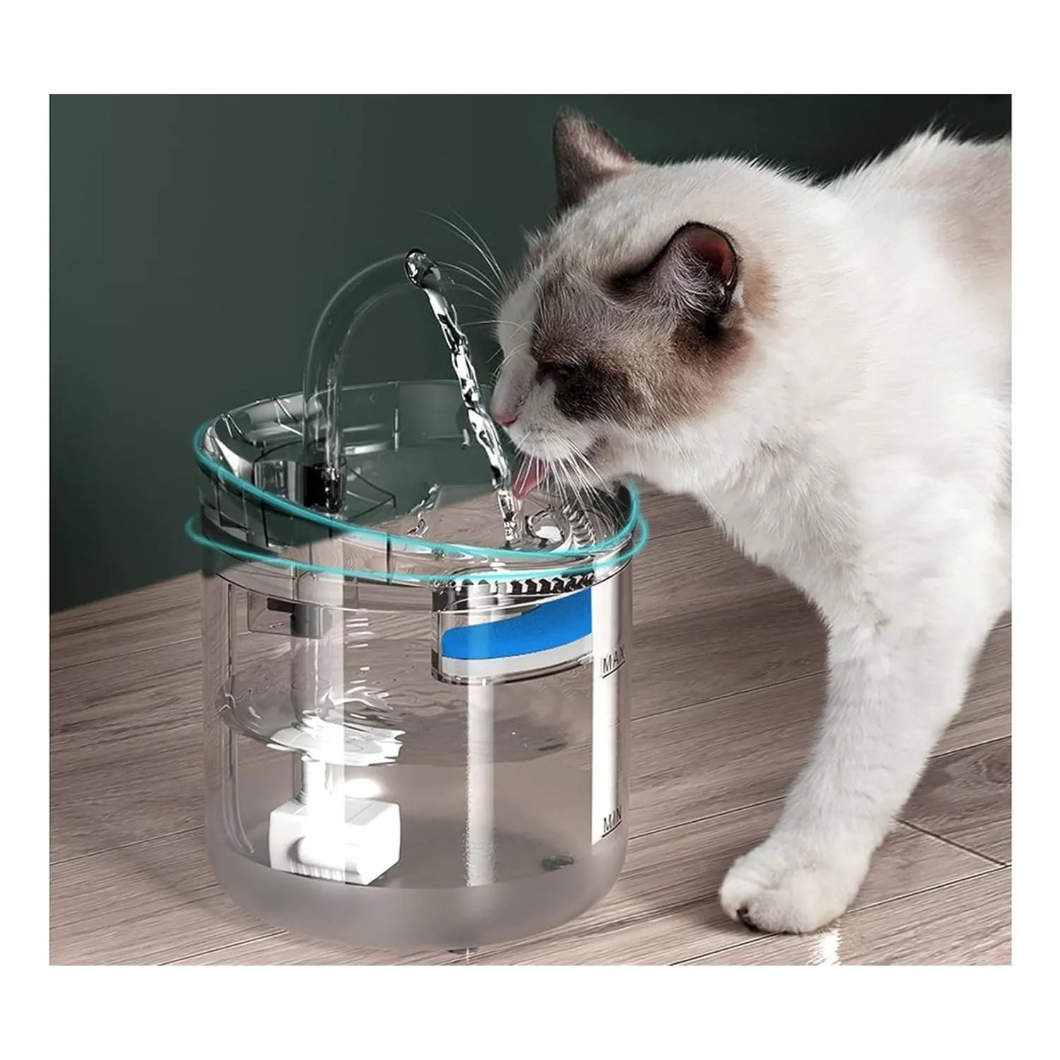 Fuente de agua transparente automática 1,8 L con filtro