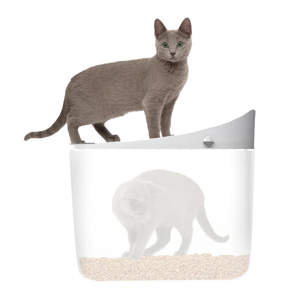 Catit Pixi Baño para Gatos con Puerta y Filtro de Carbón