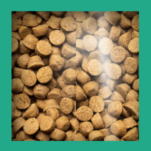 Oven baked adulto y cachorro todas las razas 11,34kg