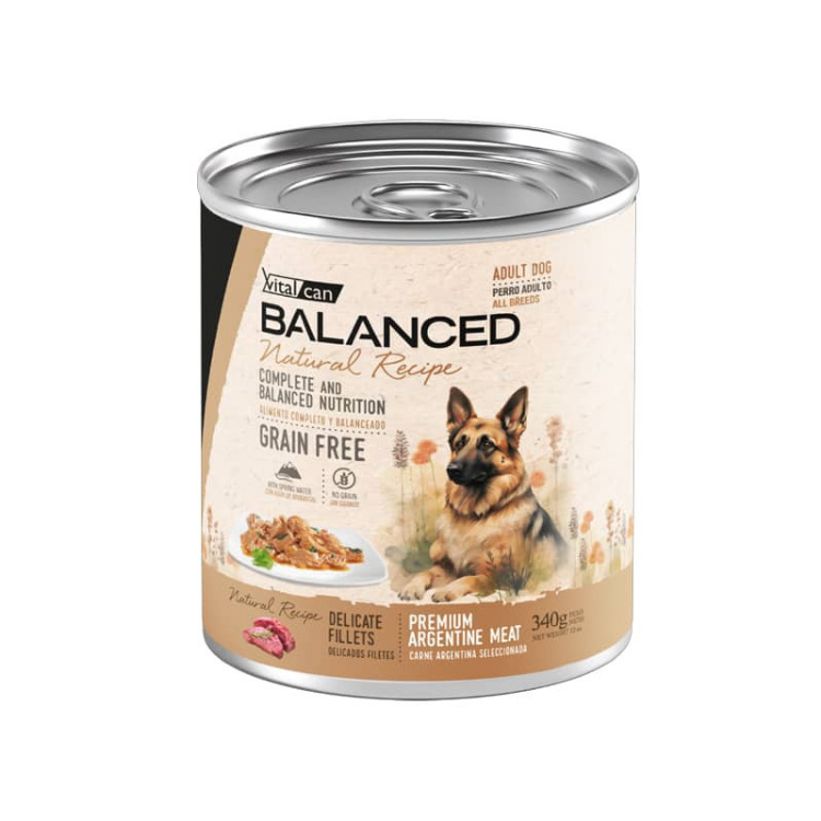 PACK 5 UN. BALANCED NATURAL RECIPE DELICADOS FILETES CARNE - ADULTO 340gr