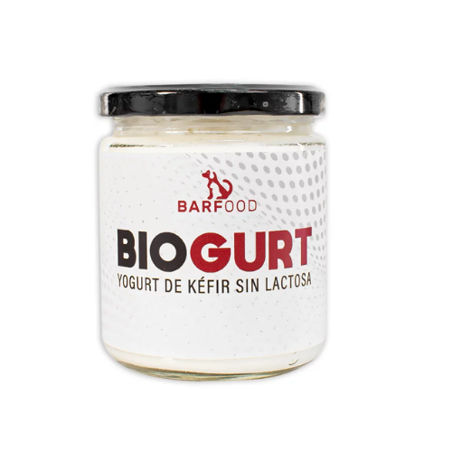 Biogurt (yogurt de kefir)