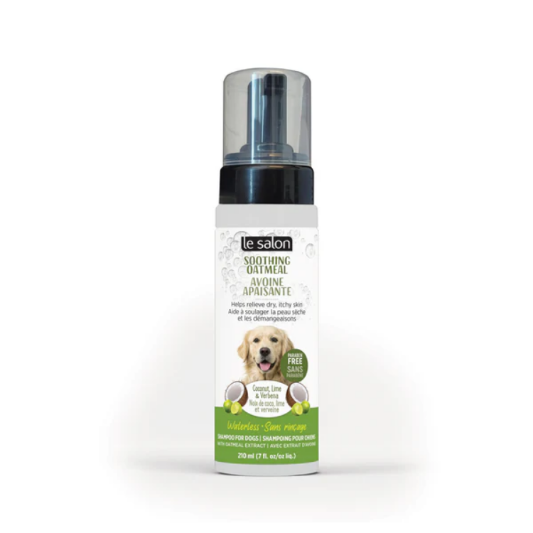Le Salon - Shampoo Seco Avena 210ml