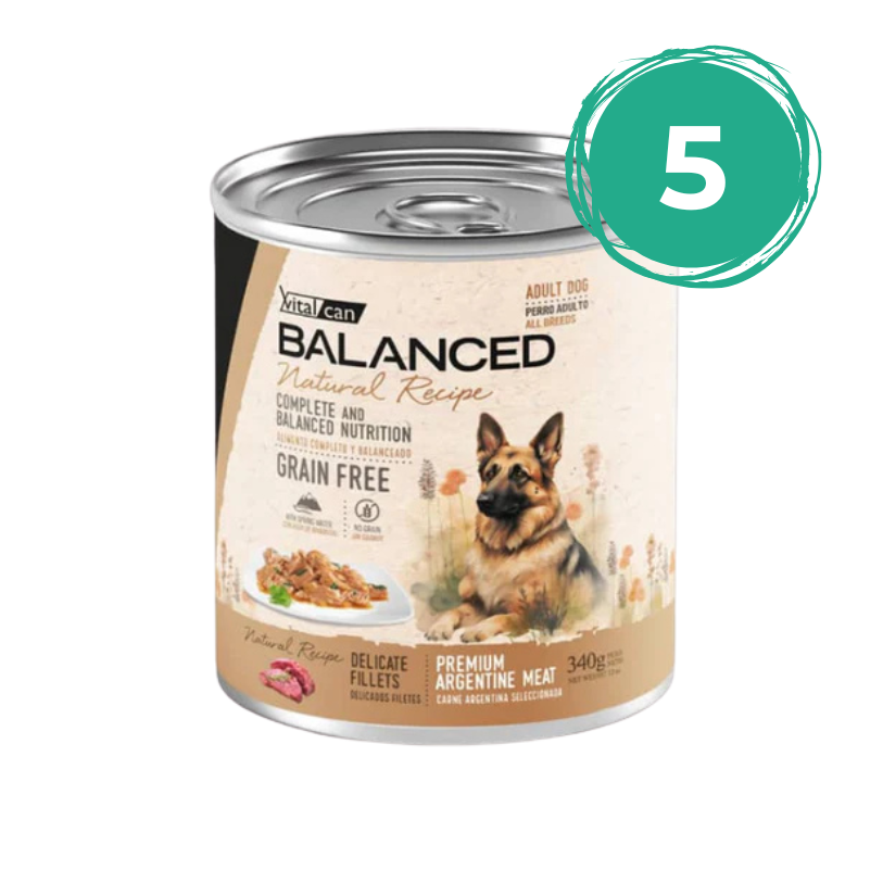 PACK 5 UN. BALANCED NATURAL RECIPE DELICADOS FILETES CARNE - ADULTO 340gr
