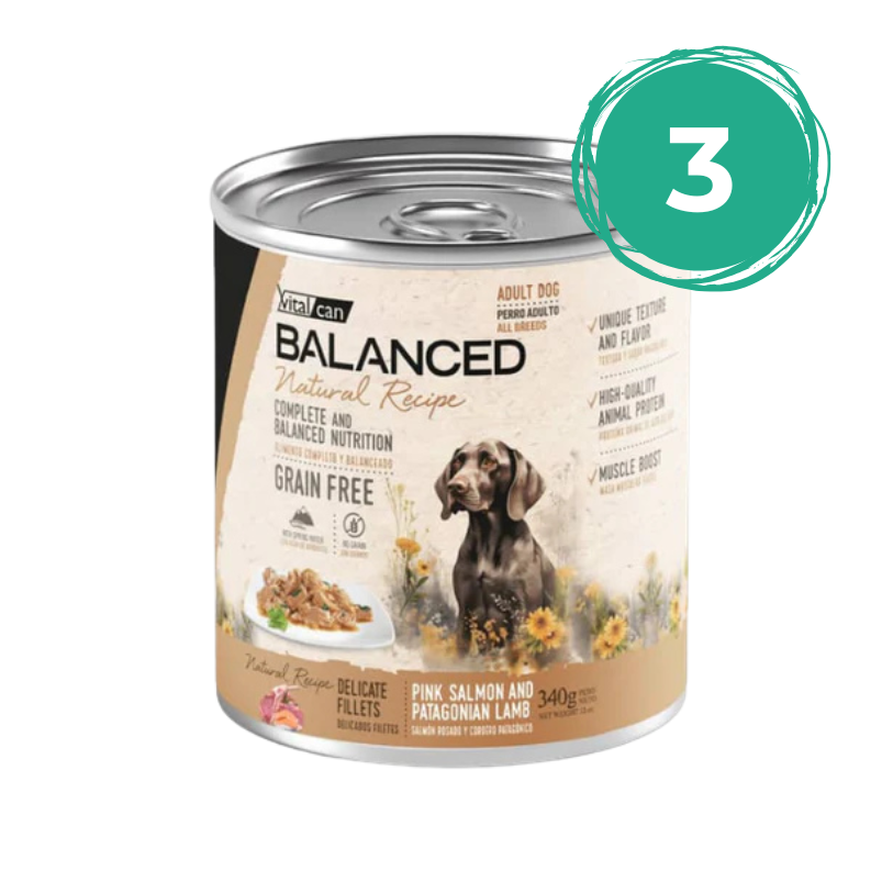PACK 3 UN. BALANCED NATURAL RECIPE FILETES SALMÓN Y CORDERO - ADULTO