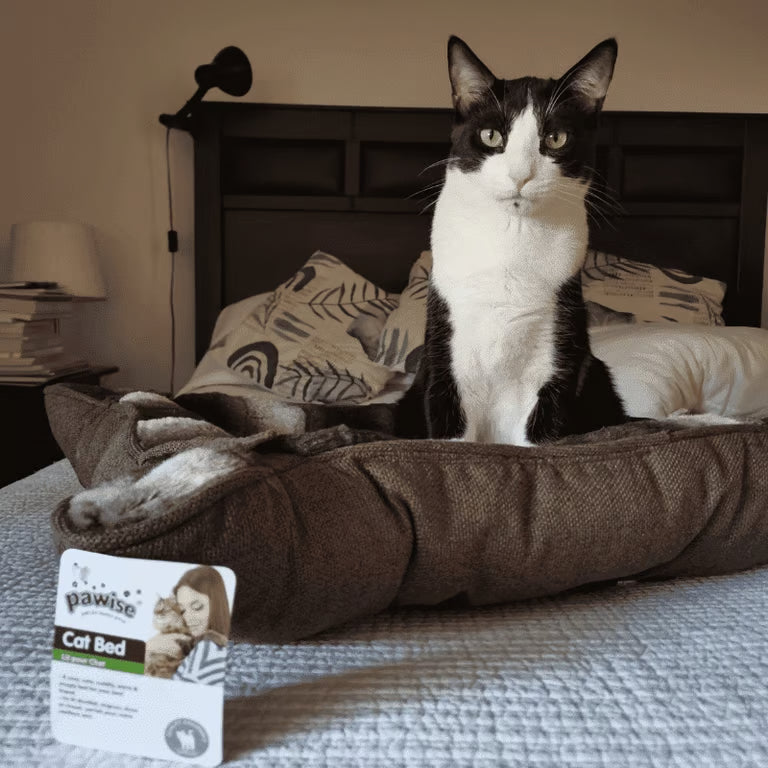 Cama de Descanso Pawise Deluxe para Gatos – Café